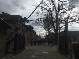 Read more about the article Lekcja historii w Miejscu Muzeum Pamięci Auschwitz – Birkenau