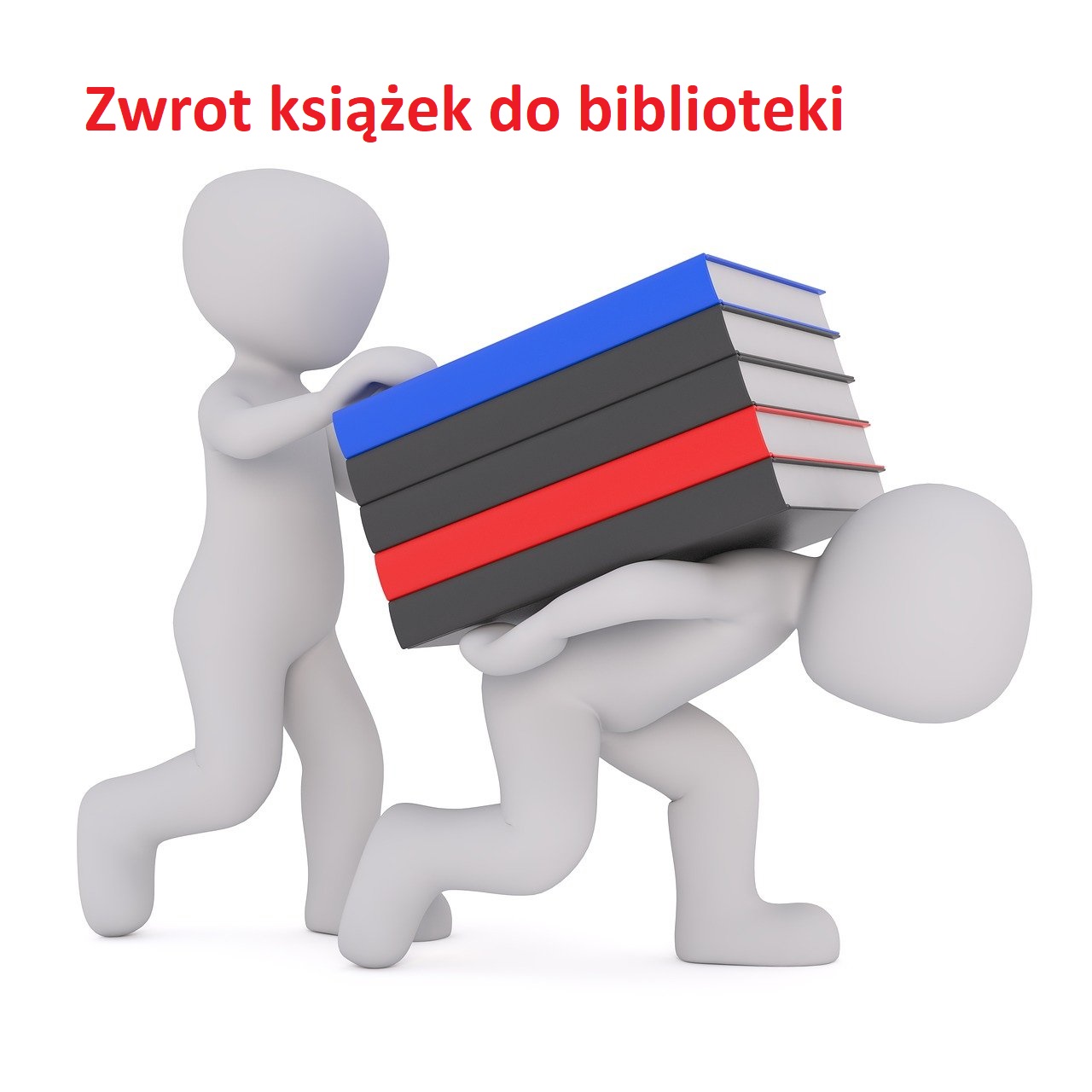 You are currently viewing Zwrot podręczników do biblioteki szkolnej